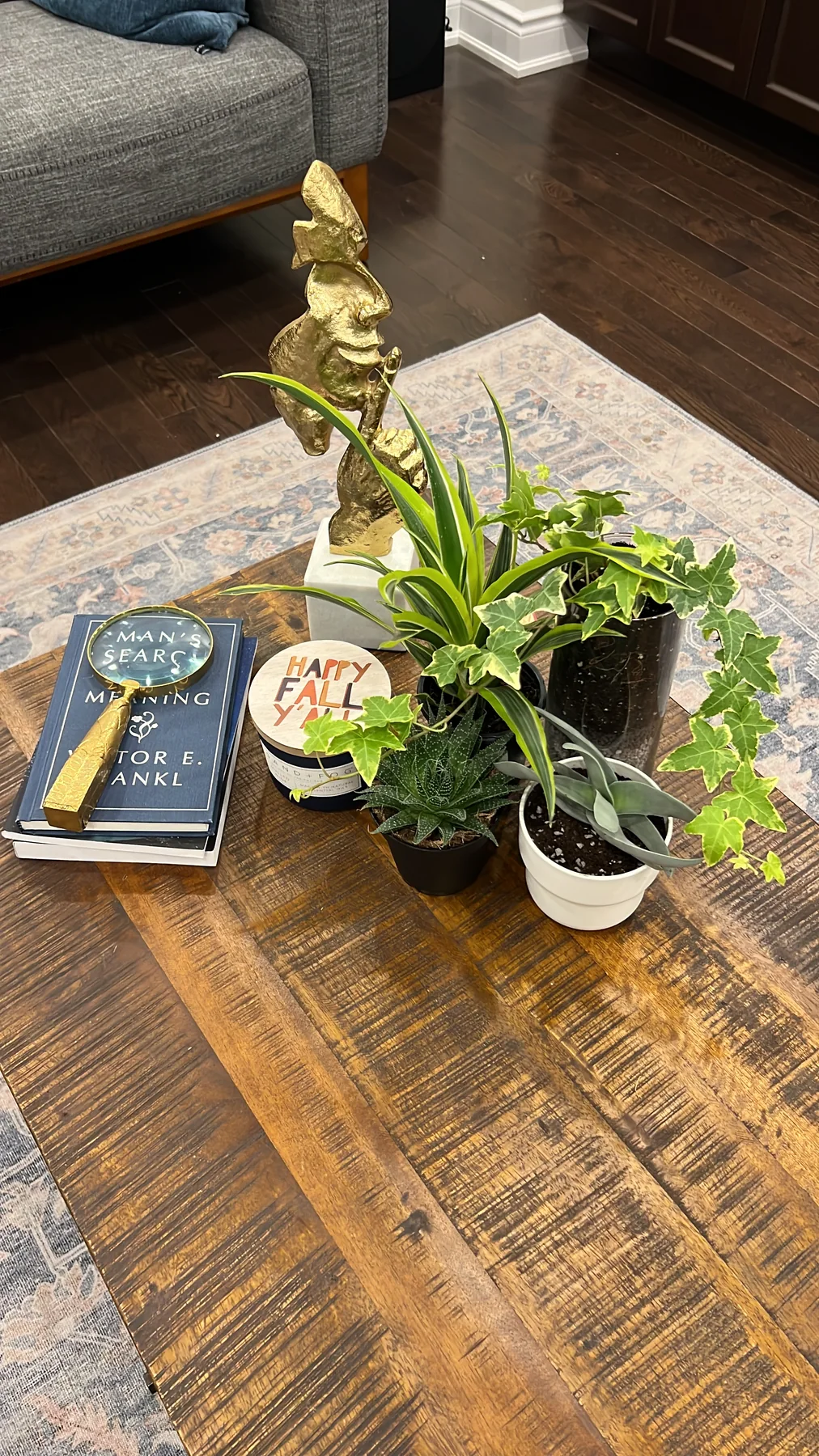 Plant and garden photograph 13