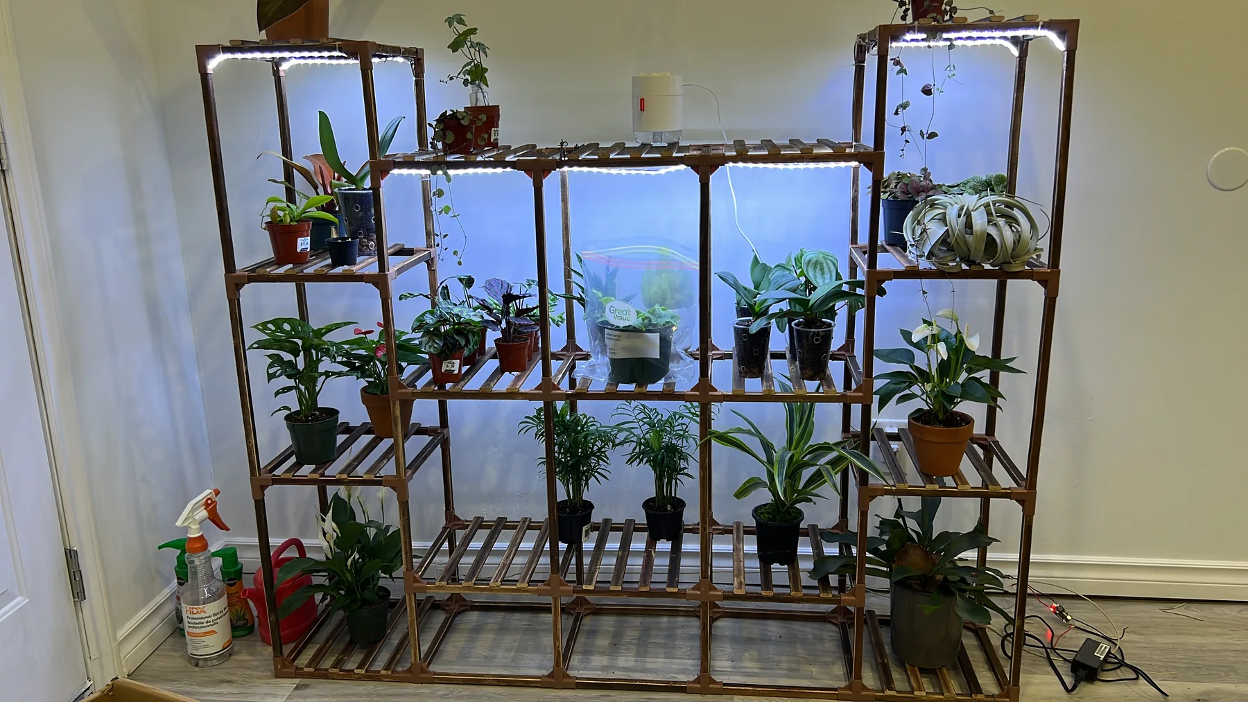 Plant and garden photograph 14