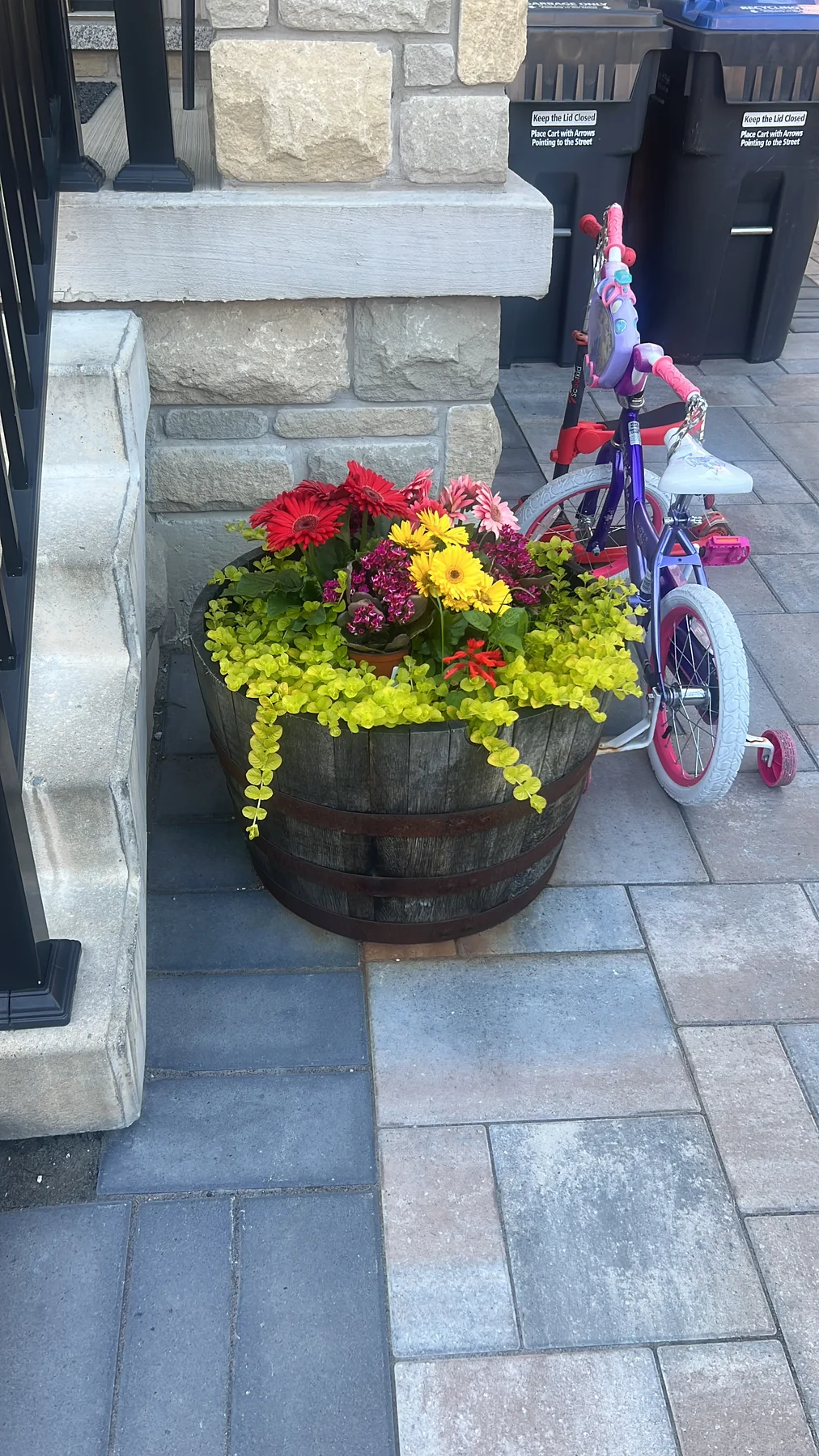 Plant and garden photograph 17